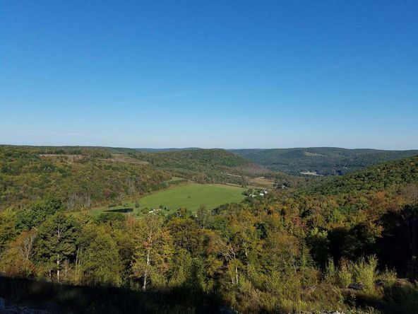 Prime Pennsylvania Bluestone Quarry Portfolio: 117 Jefferson St, Susquehanna County, PA 18847